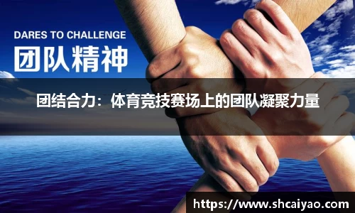团结合力：体育竞技赛场上的团队凝聚力量