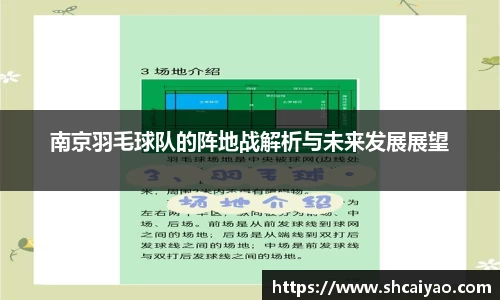 南京羽毛球队的阵地战解析与未来发展展望